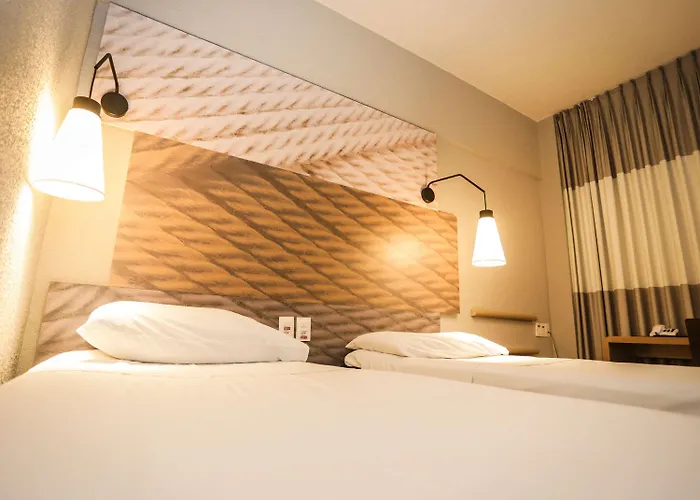 Ibis Teresina
