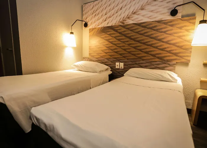 Ibis Teresina