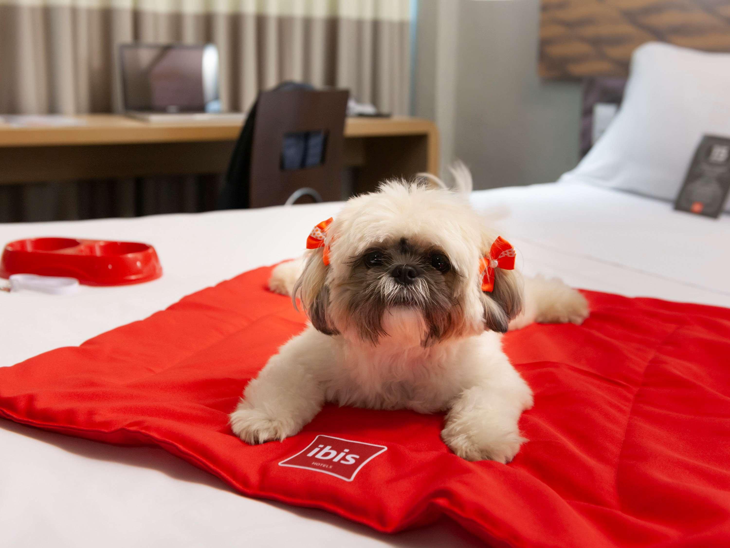 Hotel Ibis