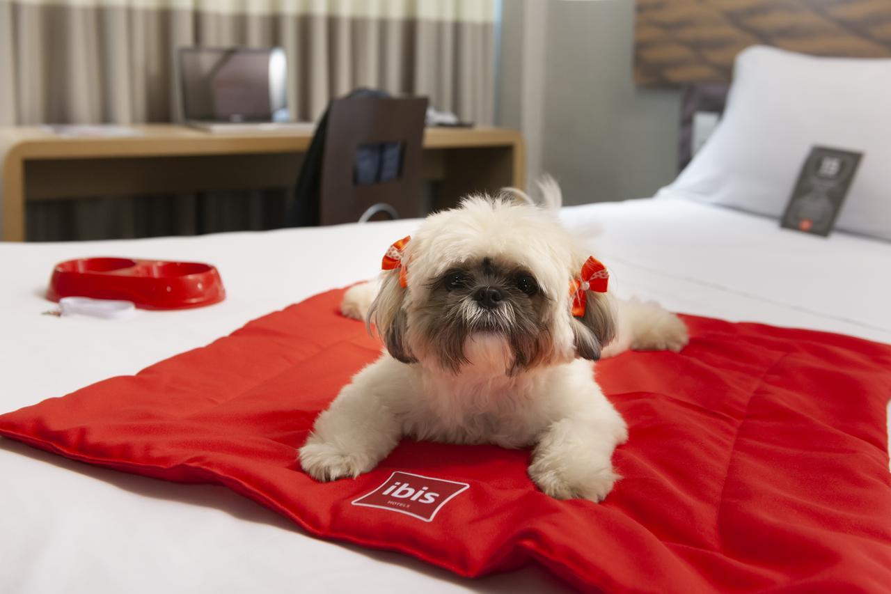 Ibis Hotel 3*