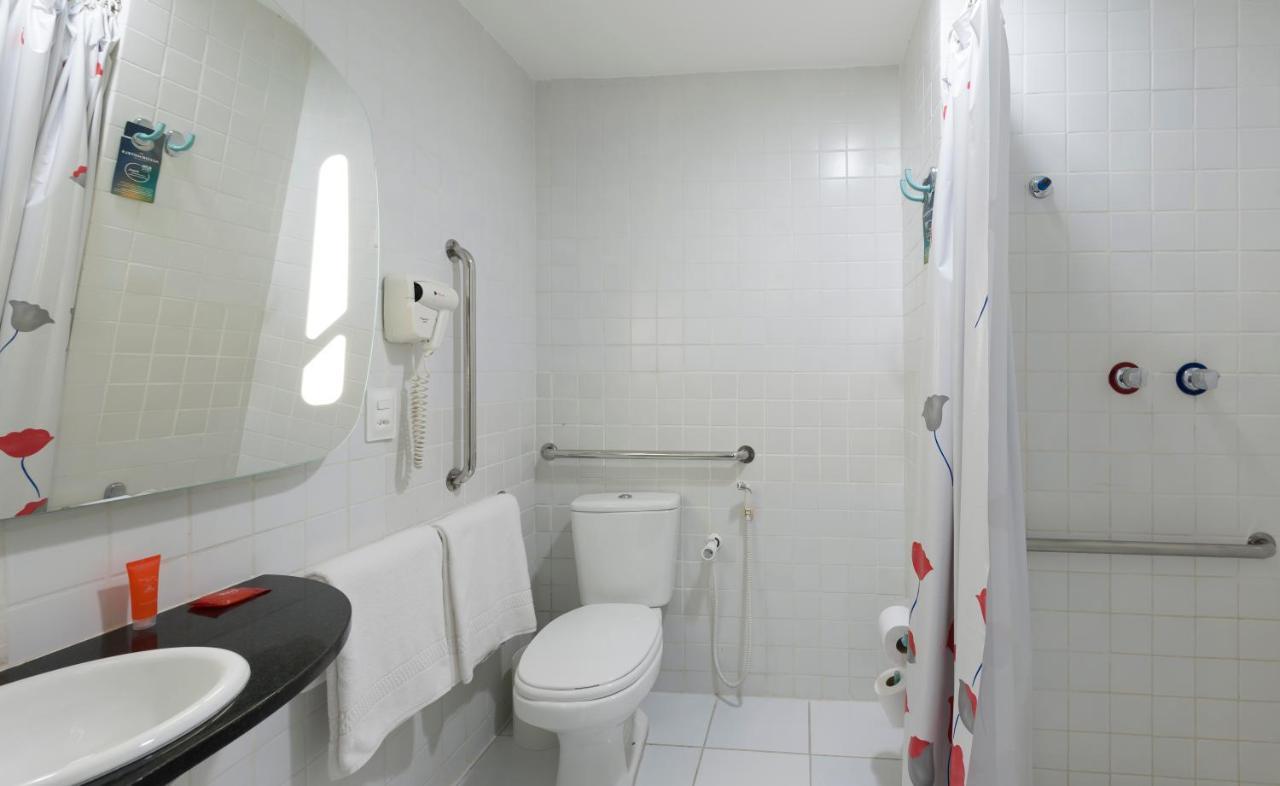 Ibis Teresina